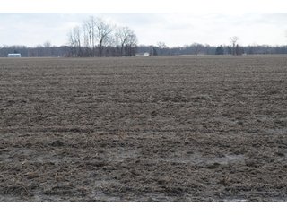 Property photo 44 - 173 +/- Acres Offered in 3 Tracts - Ohio Farmland